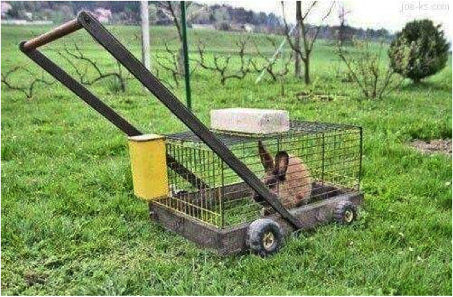 Dings and Dents - June 2016 | Cruisin' News